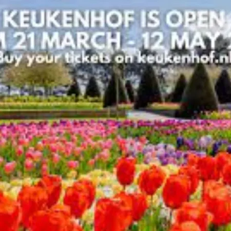 House On Estate Near Amsterdam And Keukenhof Holiday home