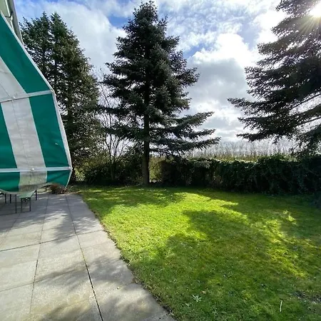 House On Estate Near Amsterdam And Keukenhof *