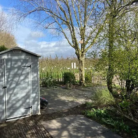 House On Estate Near Amsterdam And Keukenhof Holiday home Lisserbroek