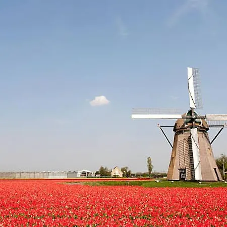 House On Estate Near Amsterdam And Keukenhof Lisserbroek